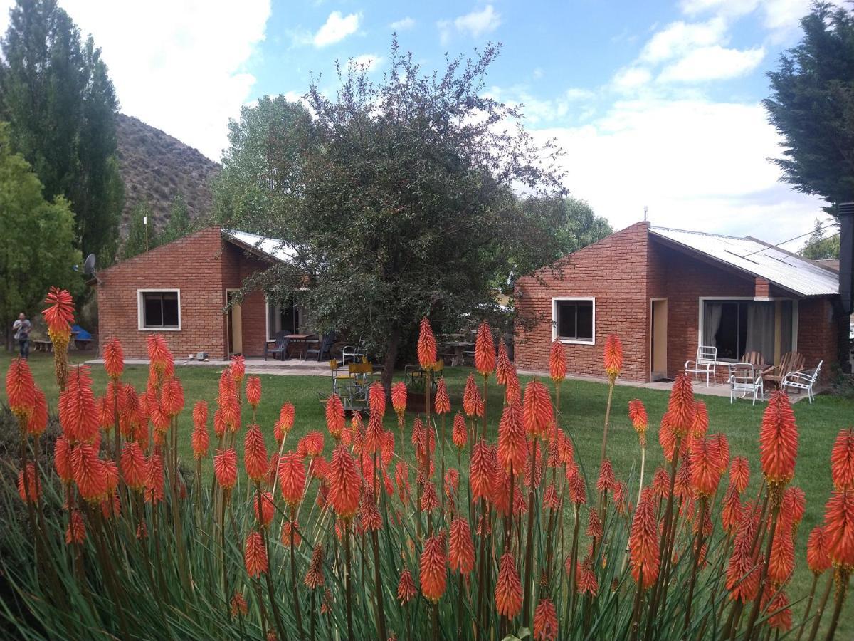 Campestre *